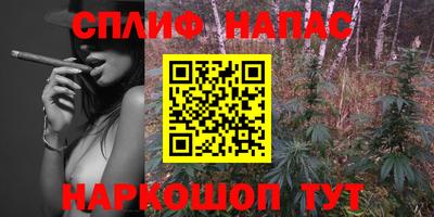 спиды Кимры