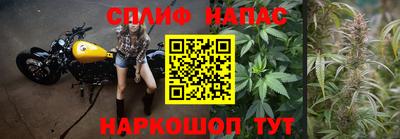 спиды Кимры