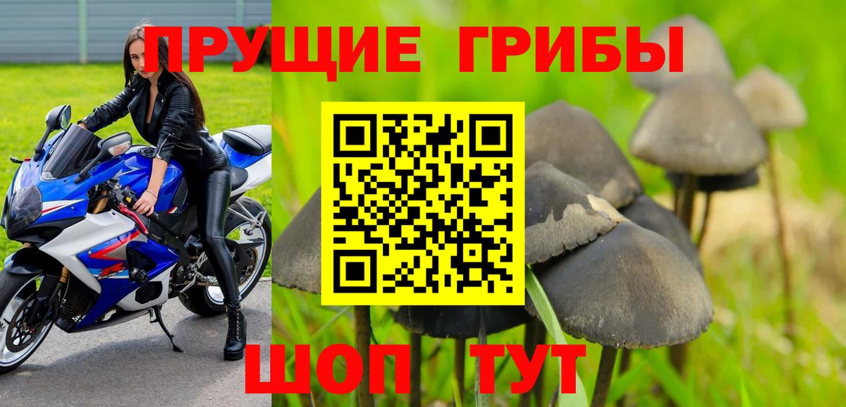 наркотики  Вход с VPN  Усть-Илимск  Галлюциногенные грибы ЛСД 