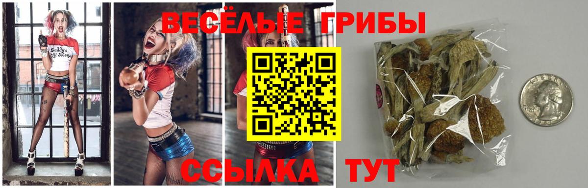 Псилоцибиновые грибы Cubensis Усть-Илимск